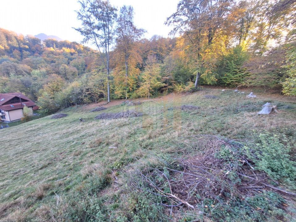 Teren intravilan Brasov Strada Ciresului 2900 mp - Poză 8