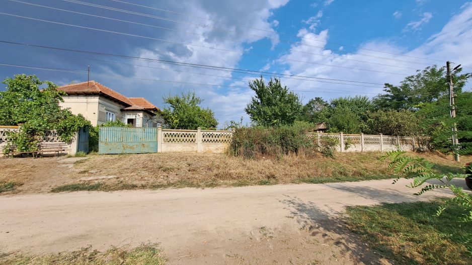 Casa + Teren 13.000 mp - Cervenia - Teleorman - Poză 8