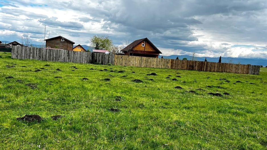 Teren intravilan 872mp, cu priveliste superba, Harman, Brasov - Poză 2