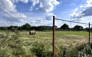 Casa cu anexe si pivniță | Teren intravilan generos | Sannicolau Roman - Poză 27
