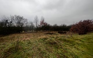 Teren intravilan | 30 ari | front stradal 50 m | investitie ideala | Mocira. - Poză 6