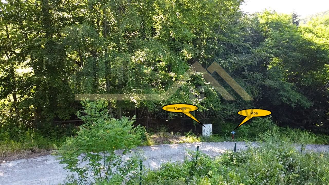 Oportunitate Investitie Teren Dambu Morii | Necesar PUD | Utilitati | 4.800mp - Poză 6