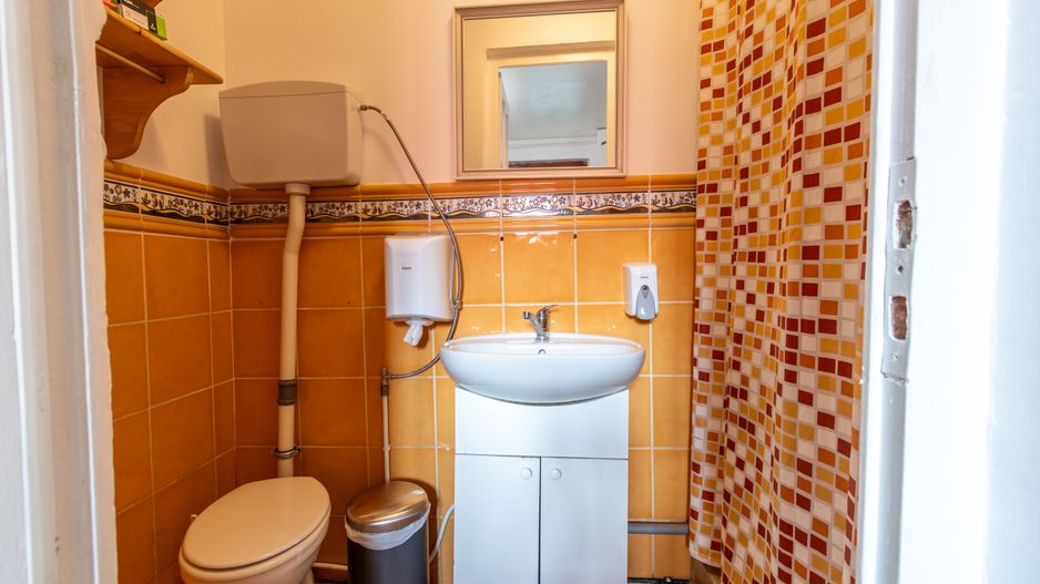 Casa de inchiriat in Andrei Muresanu, str. Anatol France - Poză 16