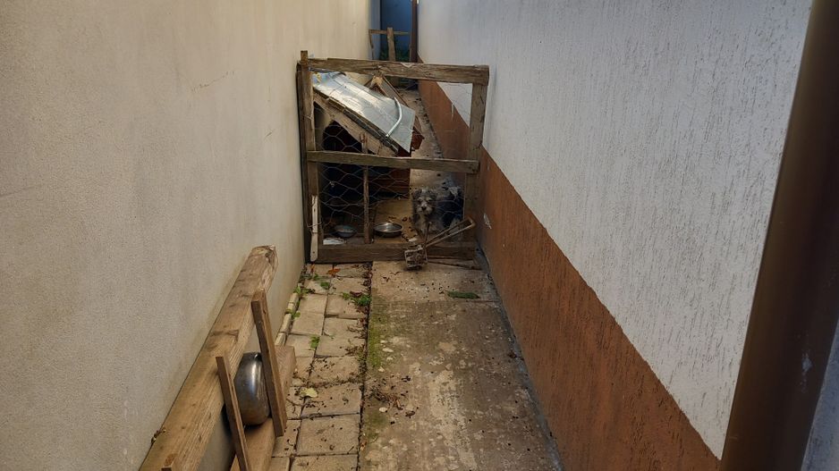 Ag BRASADAS vinde casa individuala 5 cam orasul PANTELIMON. - Poză 21