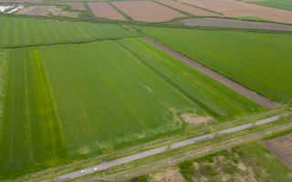 Teren extravilan de 22500mp Zona Ineu - Poză 8