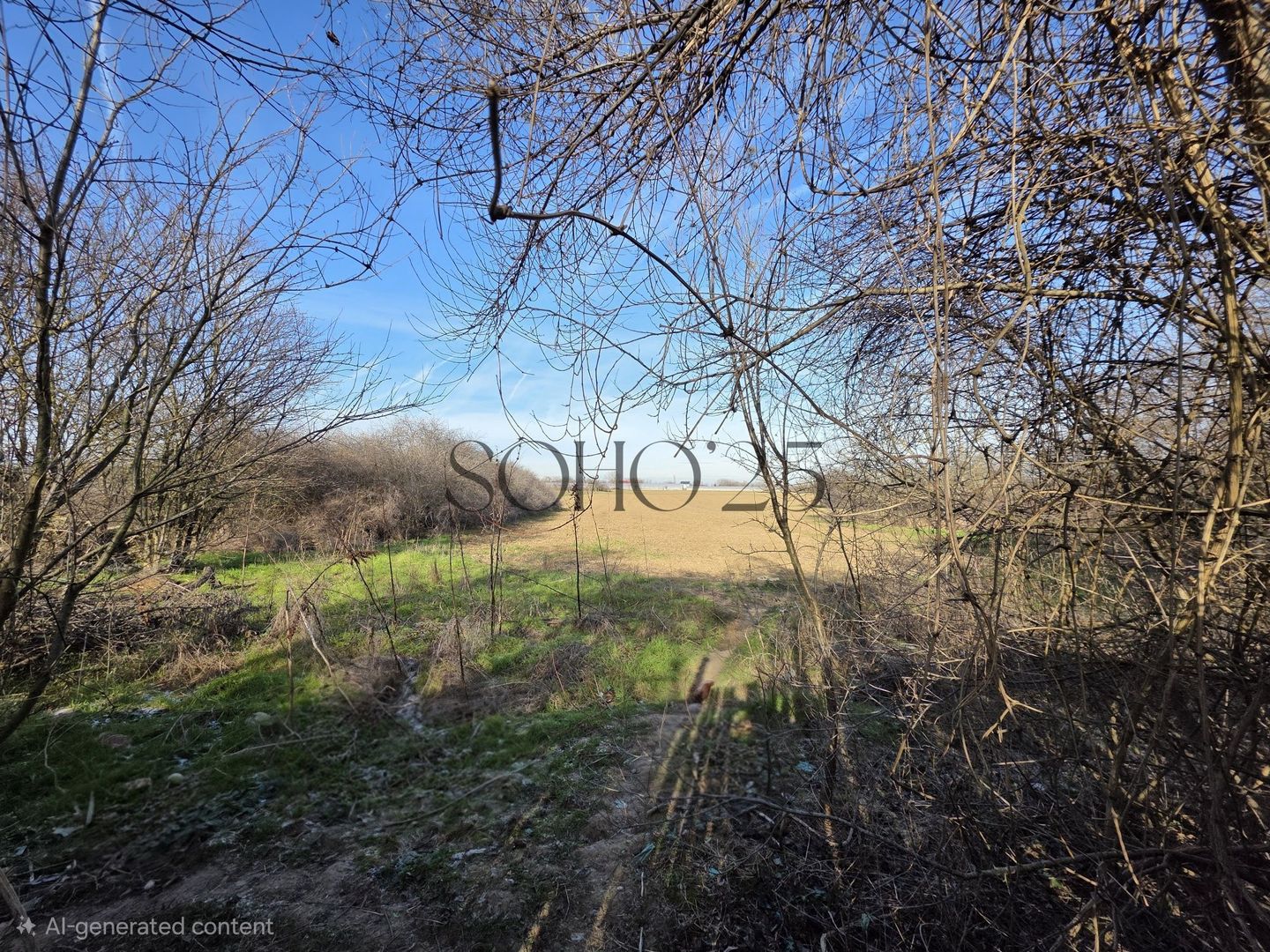 Teren lângă București 6000mp - Poză 7