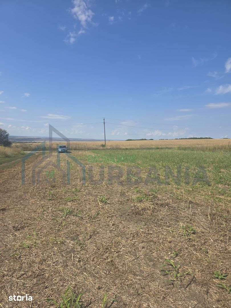 Teren construibil 500 mp, Platou Beldiman, Rediu - Poză 3