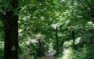 Apartament 2 camere, Tampa Gardens, 56 mp + 30 mp terasa - Poză 8