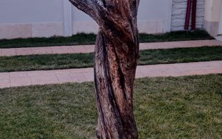 CASA INDIVIDUALA 4 CAMERE IN SAG - ZONA MANASTIRE - Poză 18