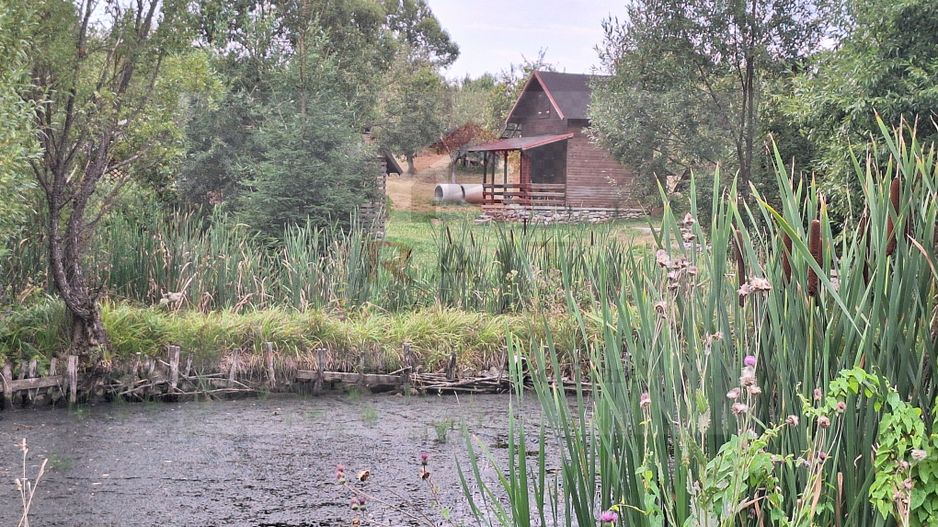 VANZARE ANSAMBLU CASUTE BRADULET ARGES - Poză 14