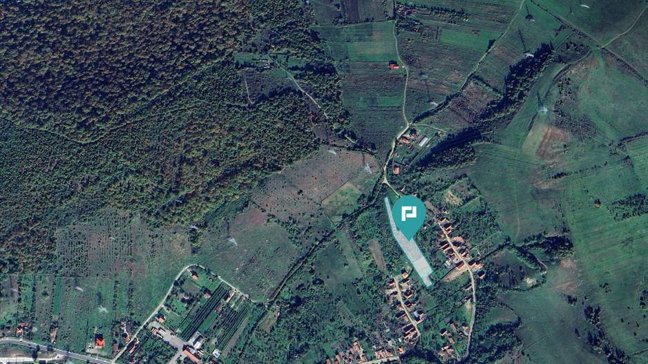 Teren fâneaţă lângă pădure - Hunedoara - Poză 2