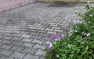 Casa zona Bogdanestilor Pozitie Unica Teren generos Comision 0 - Poză 14