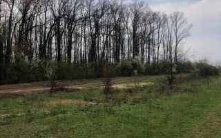 Teren de vânzare 10.028 mp – Mogoșoaia, lângă Pădurea Motoc - Poză 7