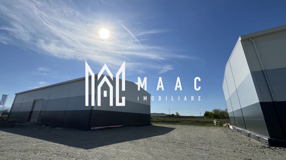 Hală de vânzare  I Cu Utilități I Sibiu Vest I Dezvoltator - Poză 9