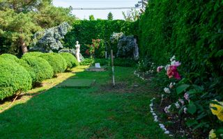 REȘEDINȚĂ DE EXCEPȚIE ÎN OTOPENI | 2.800 MP TEREN | ELEGANȚĂ, ARTĂ ȘI INTIMITATE - Poză 2