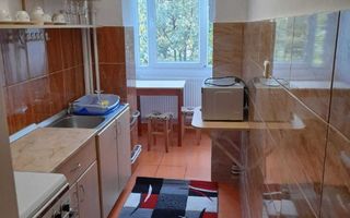 Apartament 1 camera, zona Tudor - Poză 3
