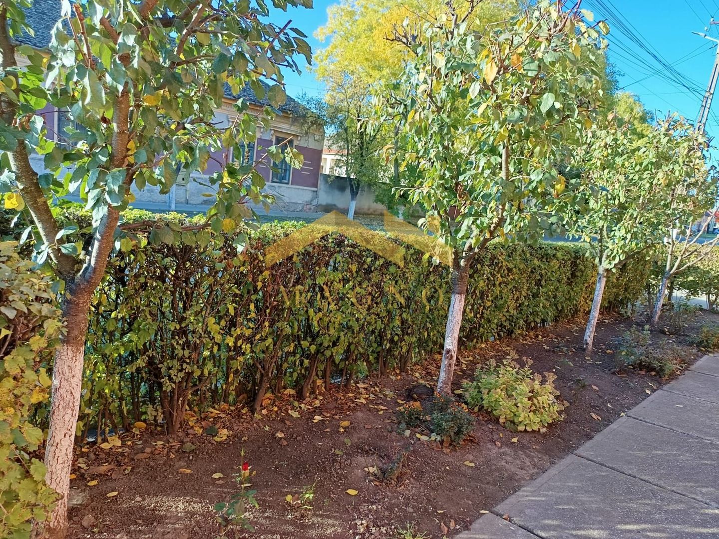 Casa de vanzare in Vladimirescu in zona primariei. - Poză 31