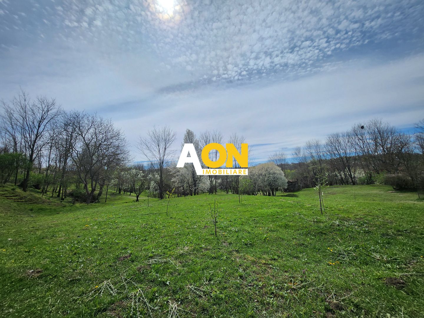 De vanzare casa 6 camere 8142 mp teren in Oarda de Sus - Poză 30