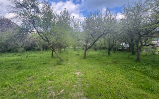 TEREN INTRAVILAN 7018 MP CAMPULUNG - Poză 15