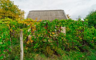 Lot pomicol de 6 ari în Ialoveni, cu construcție auxiliară. - Poză 12
