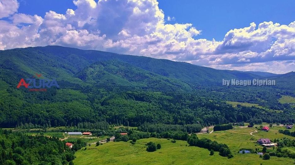 AZURA Imobiliare Pitesti - Casă de vacanță, Nucșoara! - Poză 19