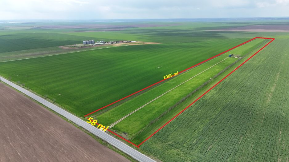 Teren de vanzare in Săcele ideal pentru silozuri, fermă 6 ha - Poză 1