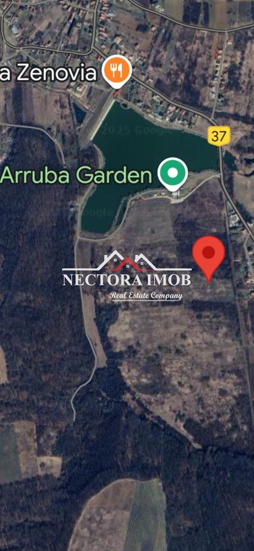 NECTORA IMOB-Loturi de teren 500 mp,Zona Saldabagiu de Munte-Lac Paleu - Poză 3