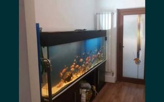 BRASADAS vinde ap 3 cam PARTER 75mp zona POARTA 6. - Poză 1