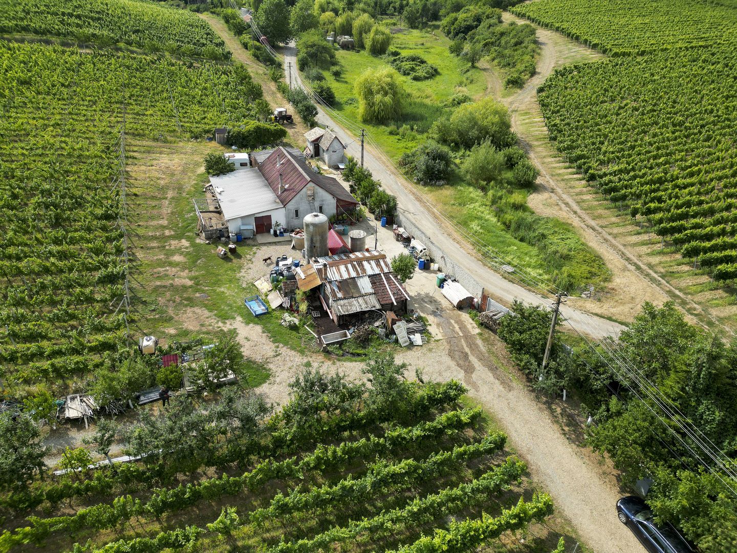 Vie Tradițională „Halta Lupilor” - Poză 48