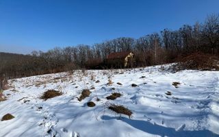 Teren 450 mp de vanzare Cisnadioara,Intravilan - Poză 4