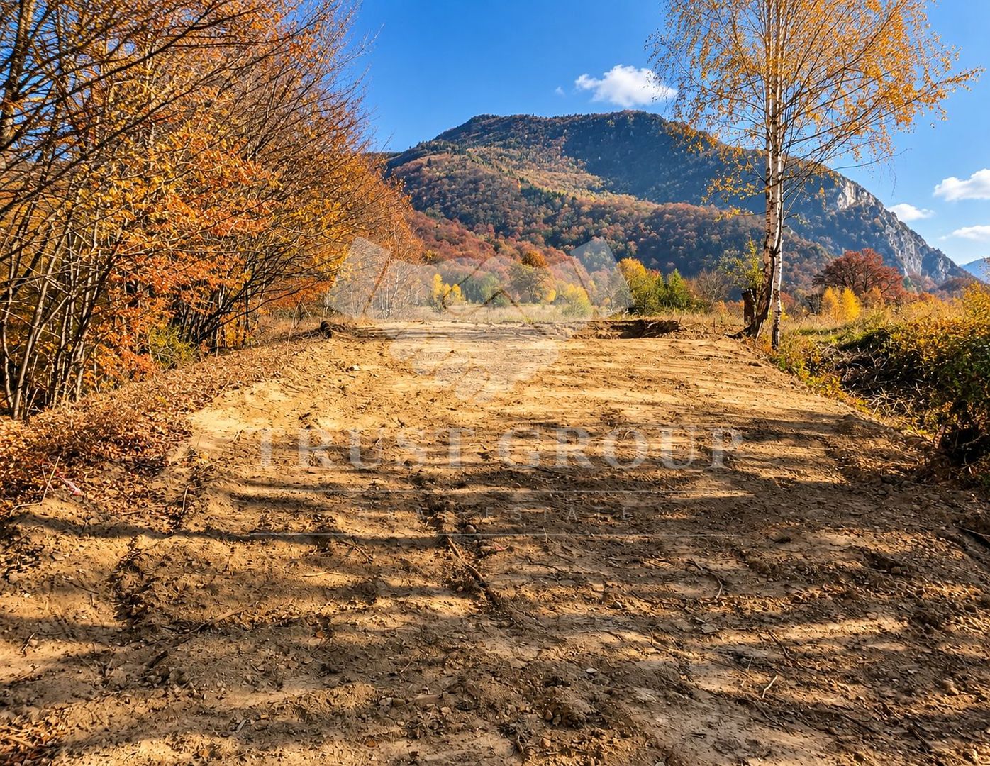 Teren de vânzare 1.300 mp în Râșnov | Proiect Glamping & Tiny Houses | - Poză 3