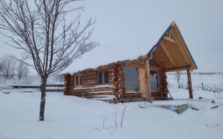 Teren intravilan | 933 mp | Cabana de lemn | Sura Mare - Poză 6