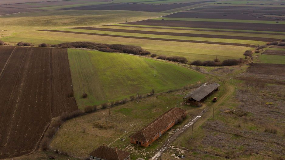 Fermă cu teren intravilan de 35000 mp în Mișca - Poză 17