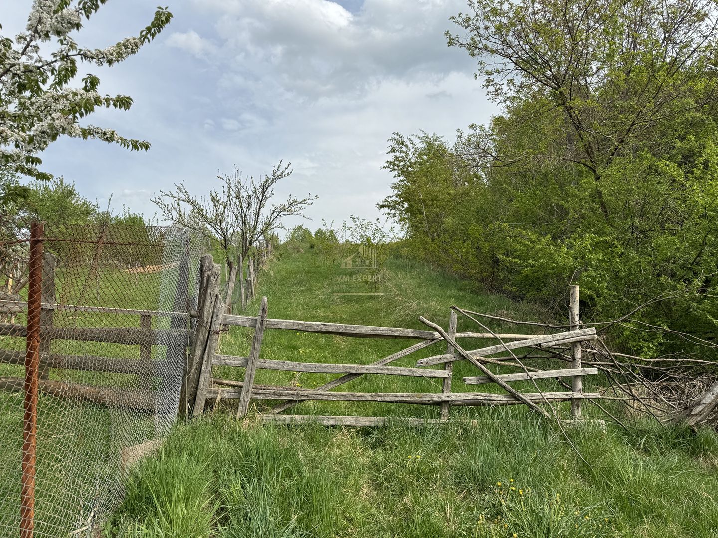 TEREN INTRAVILAN, 7472 MP, VALEA MARE PRAVAT, ARGES - Poză 4