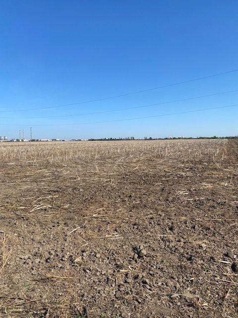 Teren agricol în Zona Sagului - Poză 9