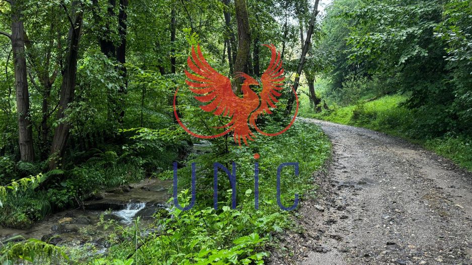 18000 mp de natura pura ,Lupeni, langa Straja - Poză 11