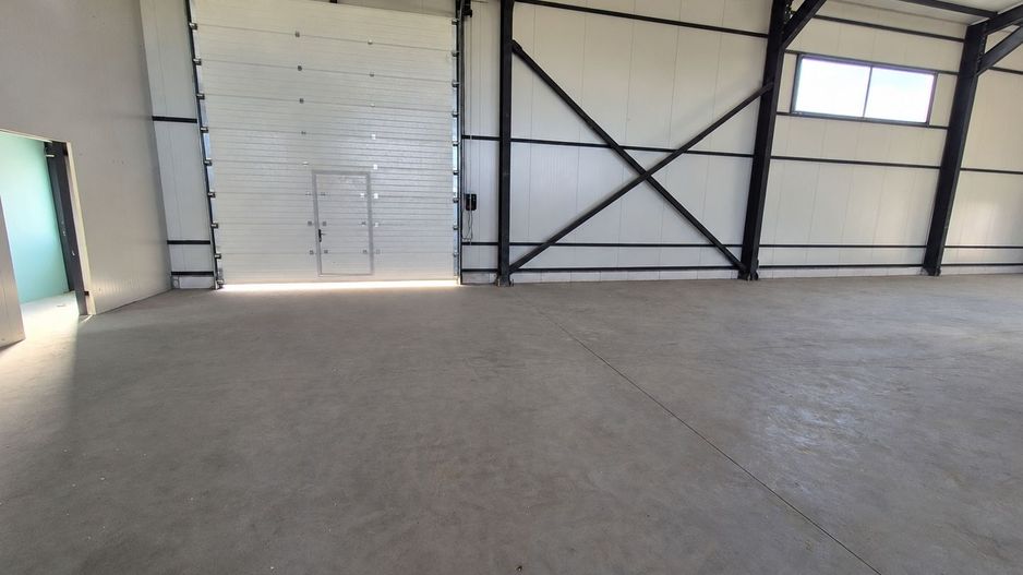 Hală de închiriat 590 mp | Chitila–Rudeni | Acces direct din Centură - Poză 4