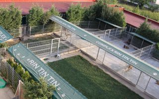 Oferta zilei! Spatiu comercial versatil Voluntari - Poză 8