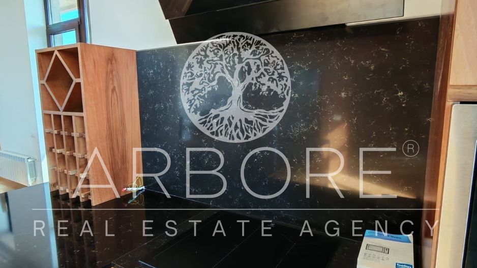 Penthouse 5 camere 250 mp lângă Ambasada SUA , zona Băneasa București - Poză 3