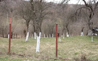 Teren Sebesul de Sus I 1100 mp I facilitati in apropiere - Poză 15