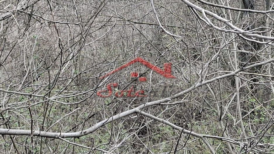 Teren de vanzare Cornu de Jos - Poză 3