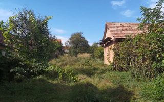 Casă | Teren 500 mp | Teren Suplimentar 700mp în folosință | Șura Mare - Poză 7