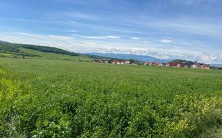 TEREN I 45200 MP - Poză 6