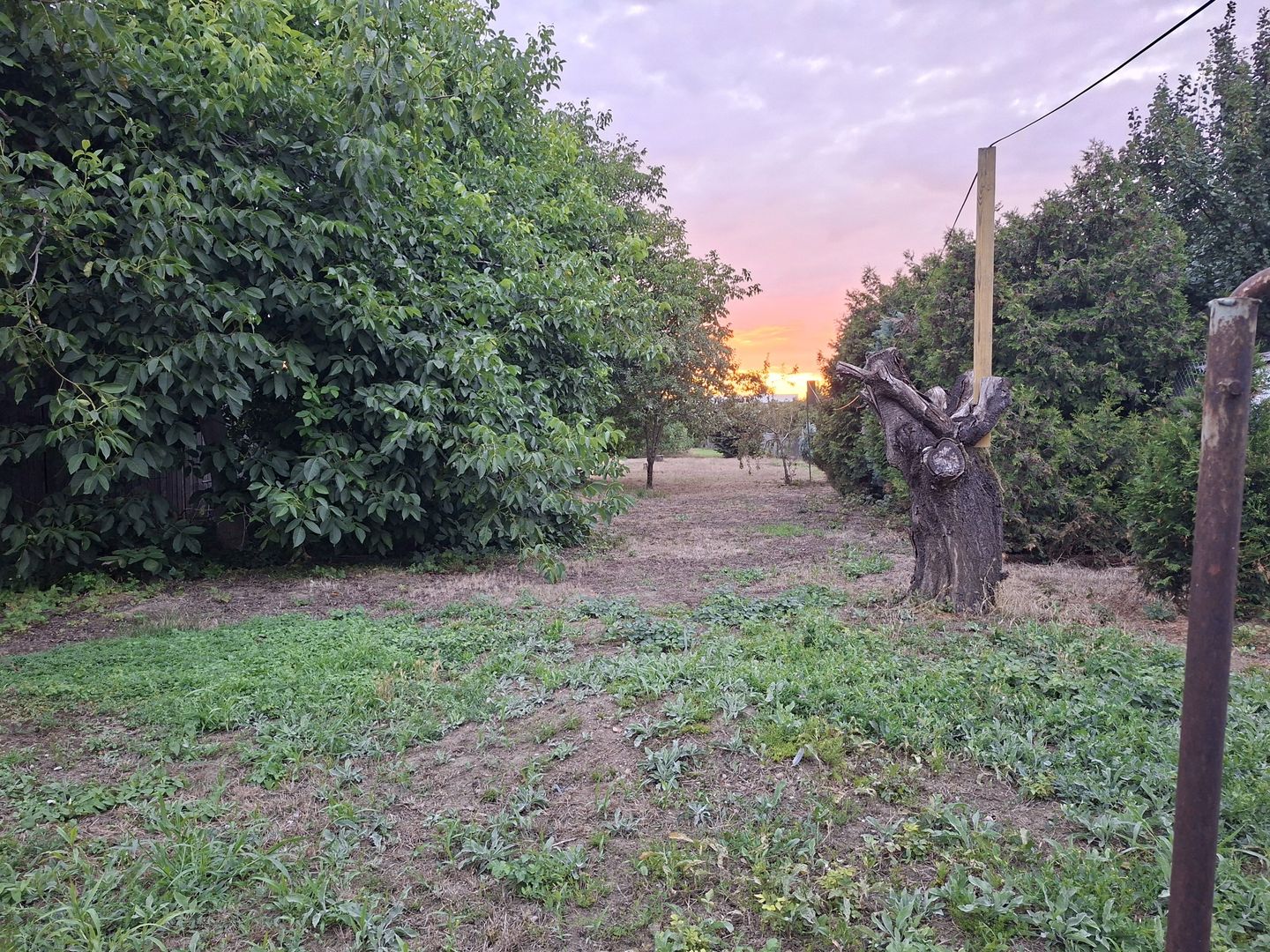 BRASADAS vinde casa individuala 2 cam teren 6 ari Titulescu. - Poză 3