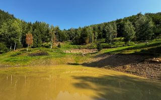 18000 mp de natura pura ,Lupeni, langa Straja - Poză 27