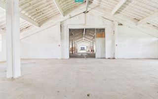 Hale 1800 mp fiecare – acces autostradă, Teiu, HD - Poză 2