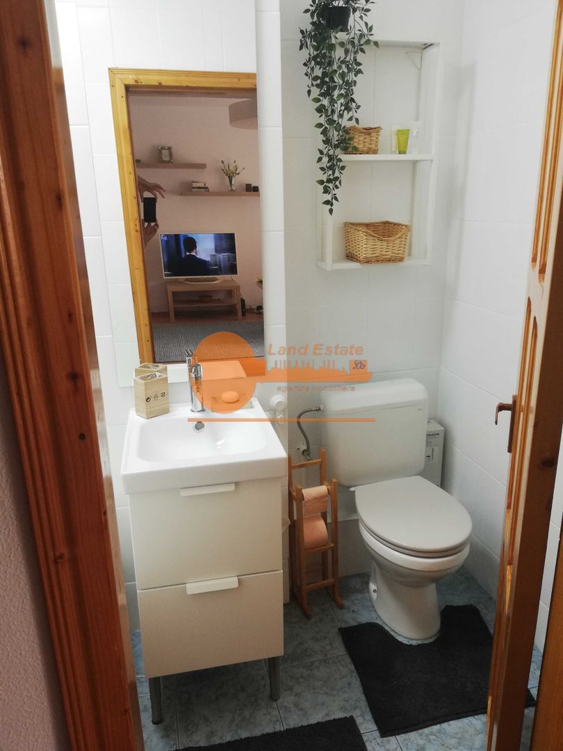 Garsoniera Victoriei-Titulescu ( vedere spate ) - Poză 5