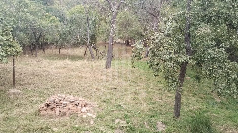 CASĂ DE ÎNCHIRIAT ÎN FÂNTÂNELE (Marginimea Sibiului) - Poză 11