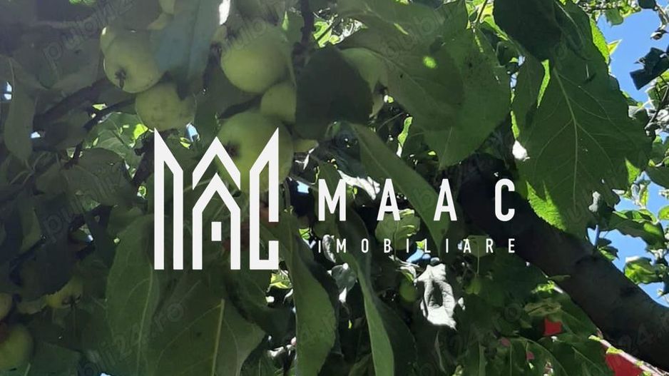 Casa 3 camere | 60 mpu | Tocile - Poză 5