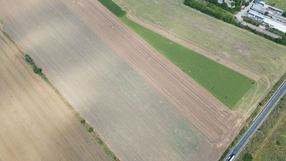 Teren extravilan 12.000 mp DN79 Arad-Oradea - Poză 6